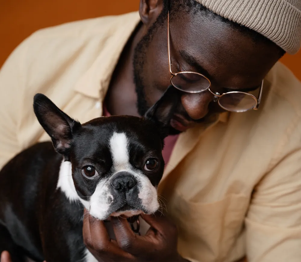 En este momento estás viendo Mauris Vitae Ultricies Leointeger